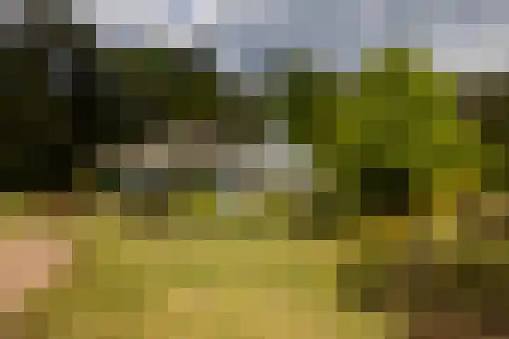 Boerweg 40 Emst thumbnail 26