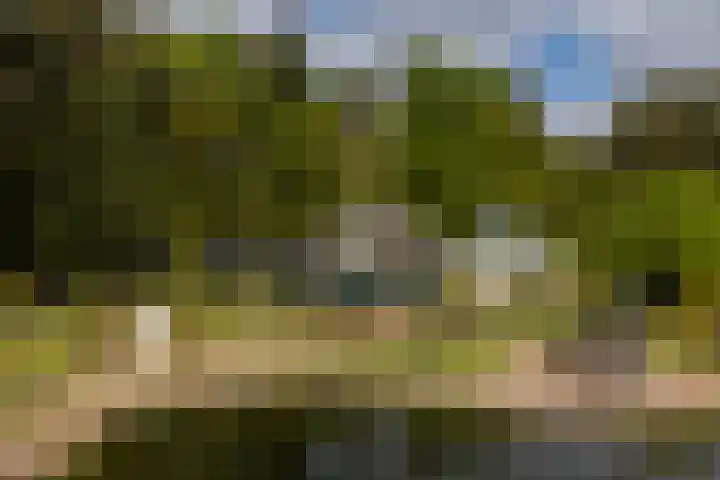 Boerweg 40 Emst thumbnail 27