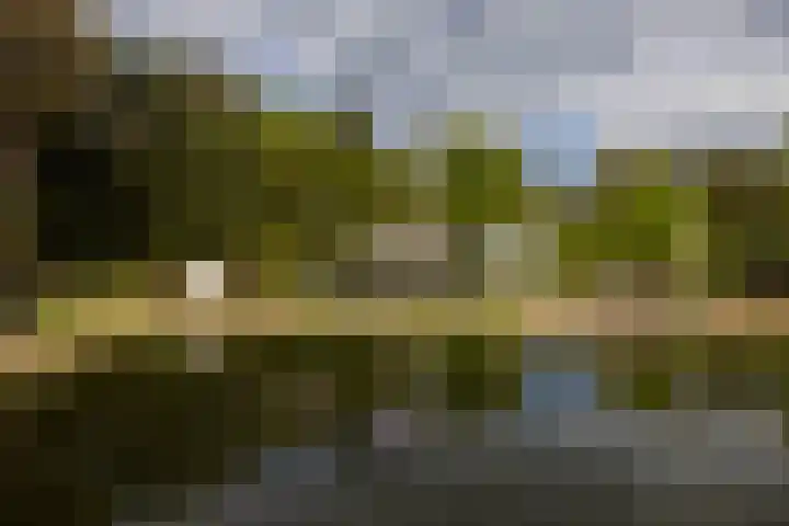 Boerweg 40 Emst thumbnail 28
