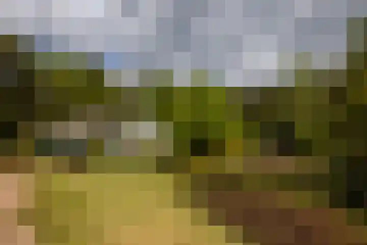 Boerweg 40 Emst thumbnail 29