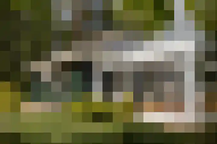Boerweg 40 Emst thumbnail 31