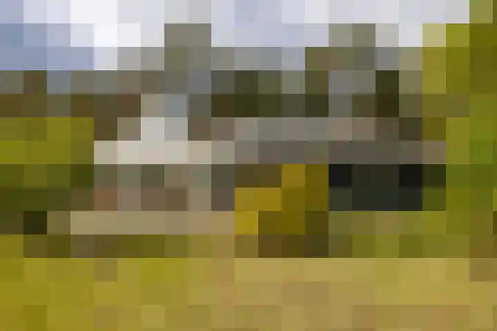Boerweg 40 Emst thumbnail 32
