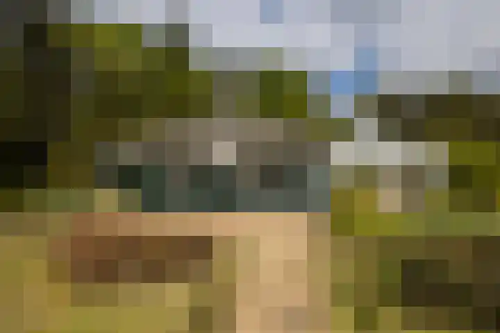 Boerweg 40 Emst thumbnail 33
