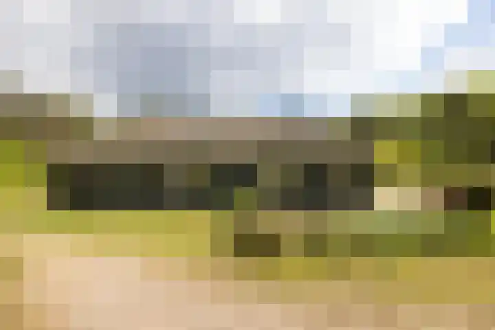 Boerweg 40 Emst thumbnail 34