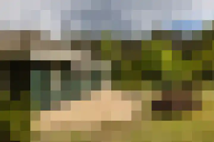 Boerweg 40 Emst thumbnail 35