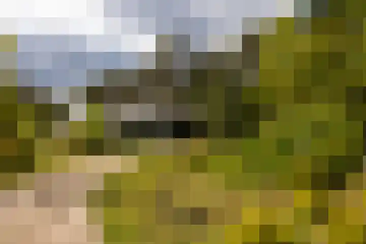 Boerweg 40 Emst thumbnail 36