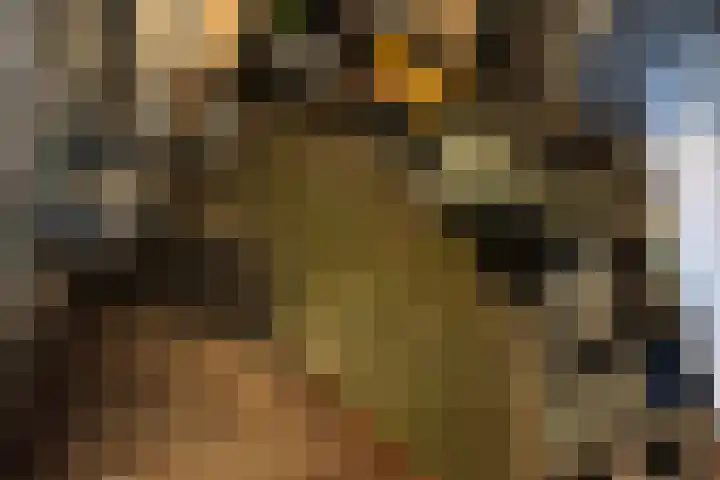 Boerweg 40 Emst thumbnail 47