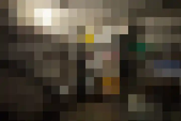 Boerweg 40 Emst thumbnail 48