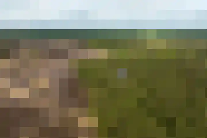 Boerweg 40 Emst thumbnail 5