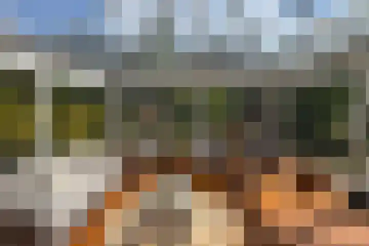 Boerweg 40 Emst thumbnail 53