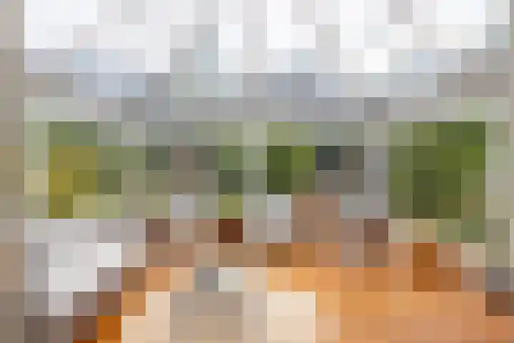 Boerweg 40 Emst thumbnail 54