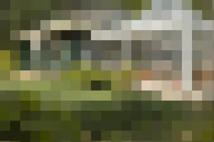 Boerweg 40 Emst thumbnail 55