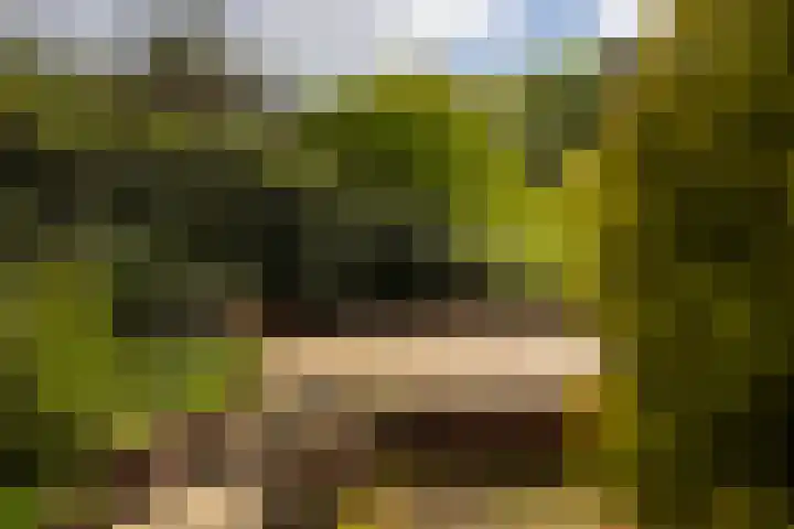 Boerweg 40 Emst thumbnail 56