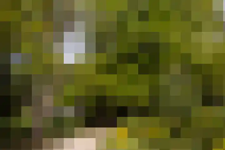 Boerweg 40 Emst thumbnail 57