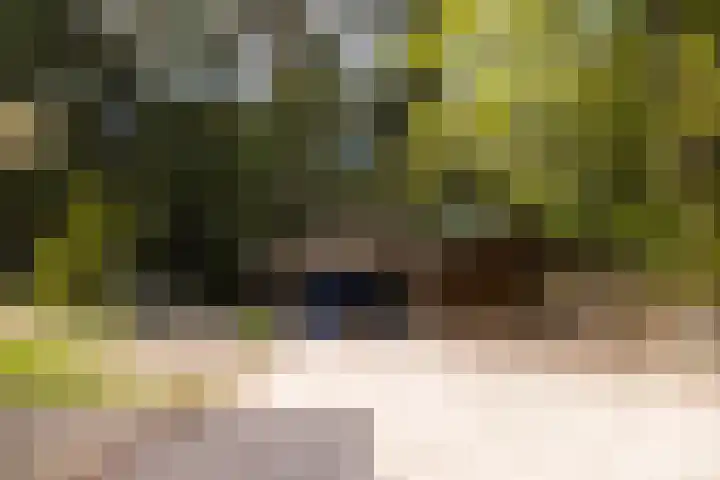 Boerweg 40 Emst thumbnail 58