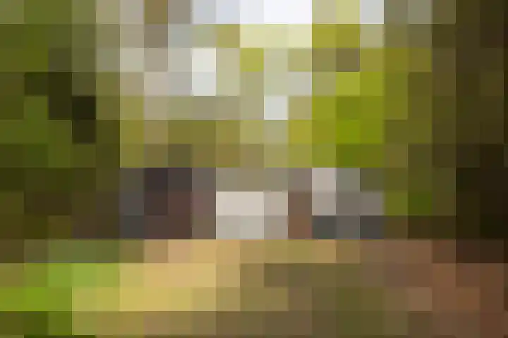 Boerweg 40 Emst thumbnail 59