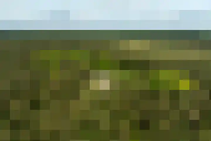 Boerweg 40 Emst thumbnail 6
