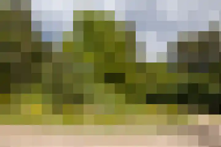 Boerweg 40 Emst thumbnail 62