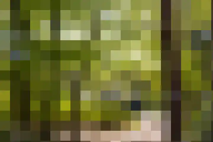 Boerweg 40 Emst thumbnail 63