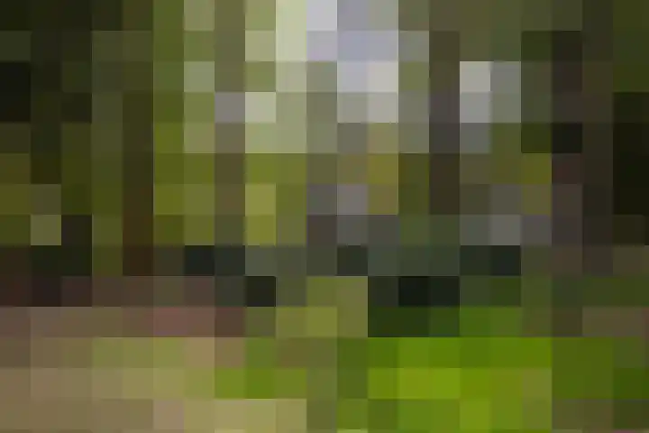Boerweg 40 Emst thumbnail 64