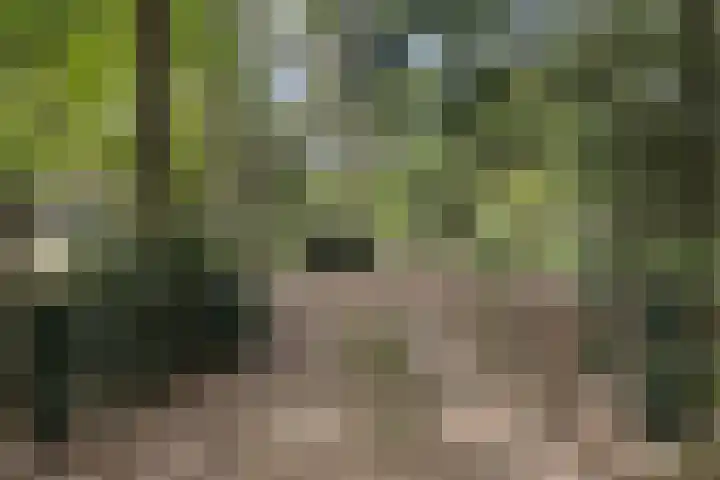 Boerweg 40 Emst thumbnail 65