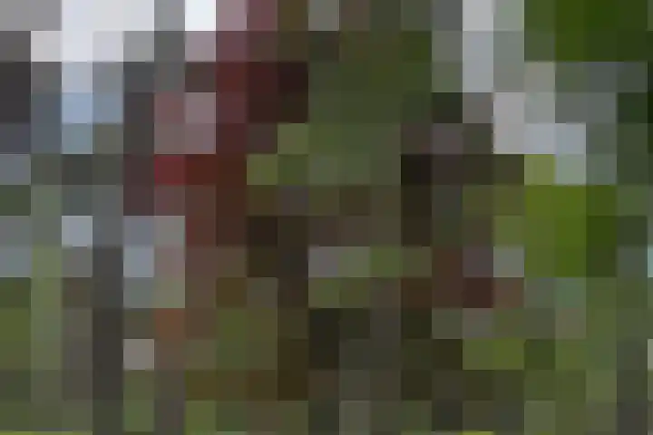 Boerweg 40 Emst thumbnail 66