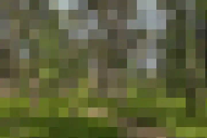 Boerweg 40 Emst thumbnail 67