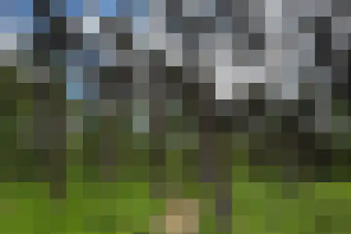 Boerweg 40 Emst thumbnail 68