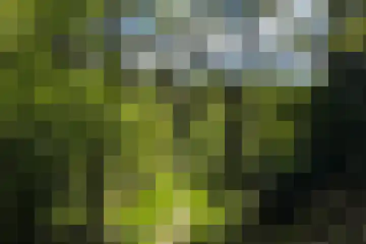 Boerweg 40 Emst thumbnail 69