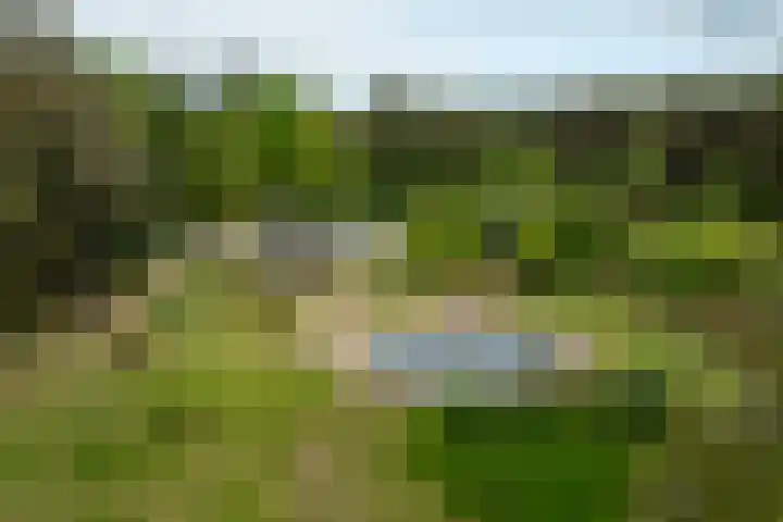 Boerweg 40 Emst thumbnail 7