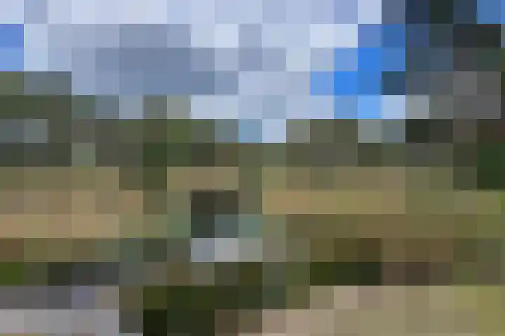 Boerweg 40 Emst thumbnail 70