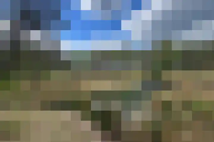 Boerweg 40 Emst thumbnail 71