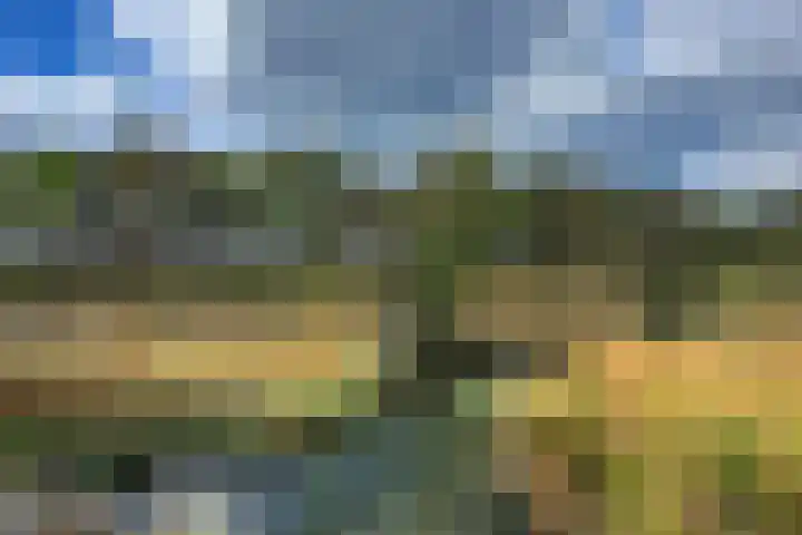 Boerweg 40 Emst thumbnail 72