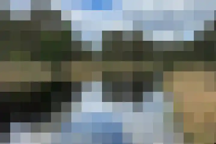 Boerweg 40 Emst thumbnail 74