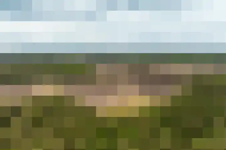 Boerweg 40 Emst thumbnail 75