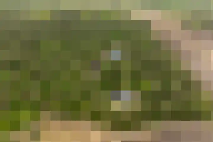 Boerweg 40 Emst thumbnail 76