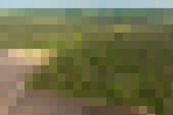 Boerweg 40 Emst thumbnail 77