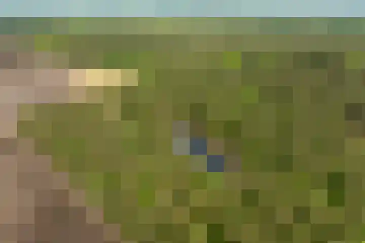 Boerweg 40 Emst thumbnail 78