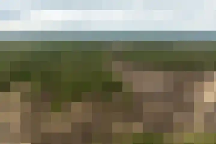 Boerweg 40 Emst thumbnail 79