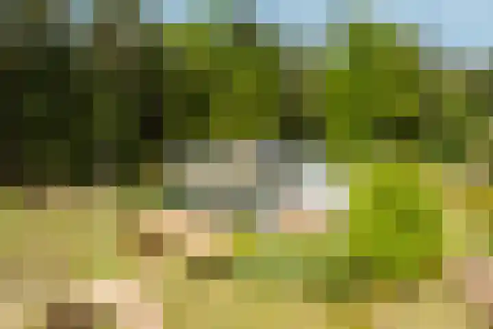 Boerweg 40 Emst thumbnail 8