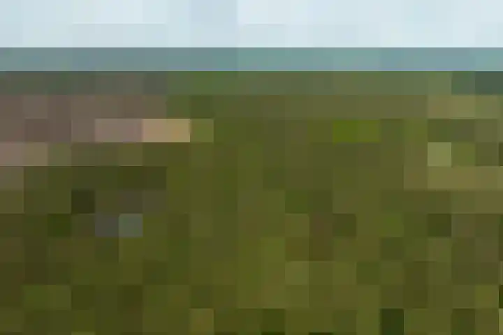 Boerweg 40 Emst thumbnail 80