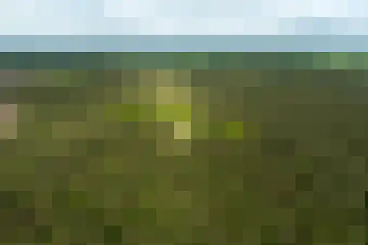 Boerweg 40 Emst thumbnail 81