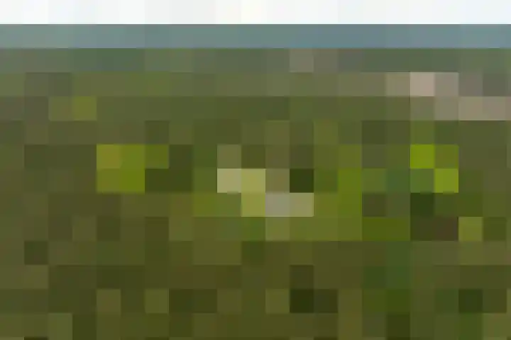 Boerweg 40 Emst thumbnail 82