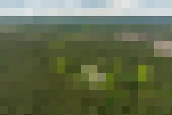 Boerweg 40 Emst thumbnail 83