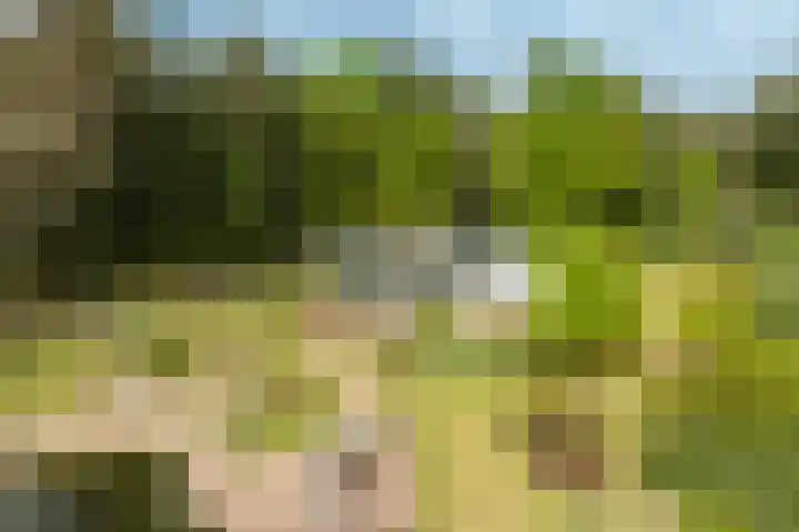 Boerweg 40 Emst thumbnail 9