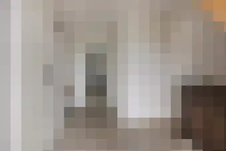 Boerweg 6 a Hasselt thumbnail 10