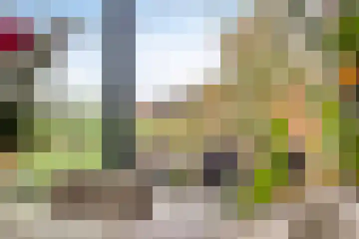 Boerweg 6 a Hasselt thumbnail 16