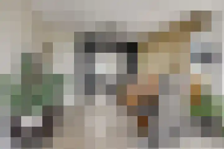 Boerweg 6 a Hasselt thumbnail 18