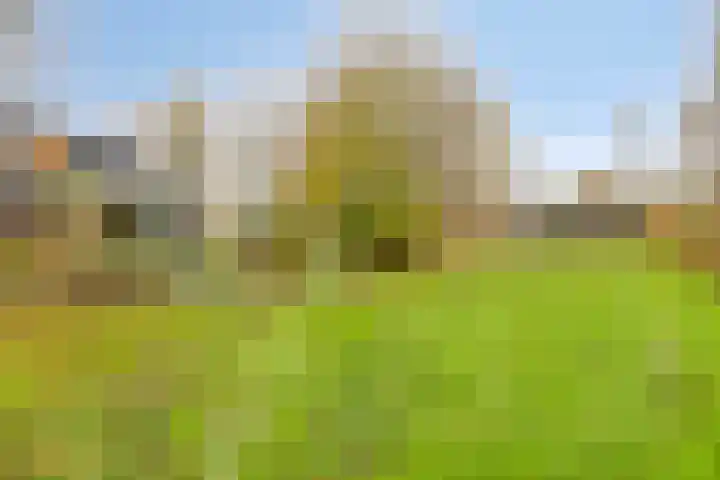 Boerweg 6 a Hasselt thumbnail 32