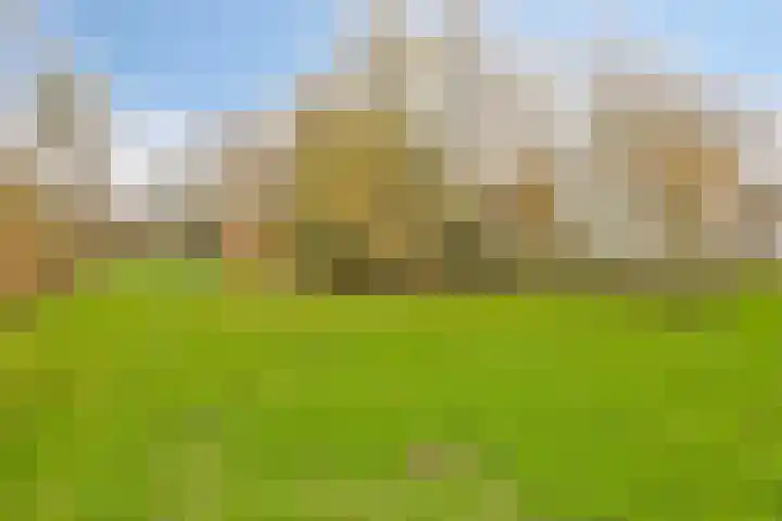 Boerweg 6 a Hasselt thumbnail 33
